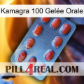 Kamagra 100 Gelée Orale 06
